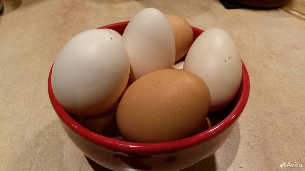 Яйца домашних кур купить на Зозу.ру - фотография № 1