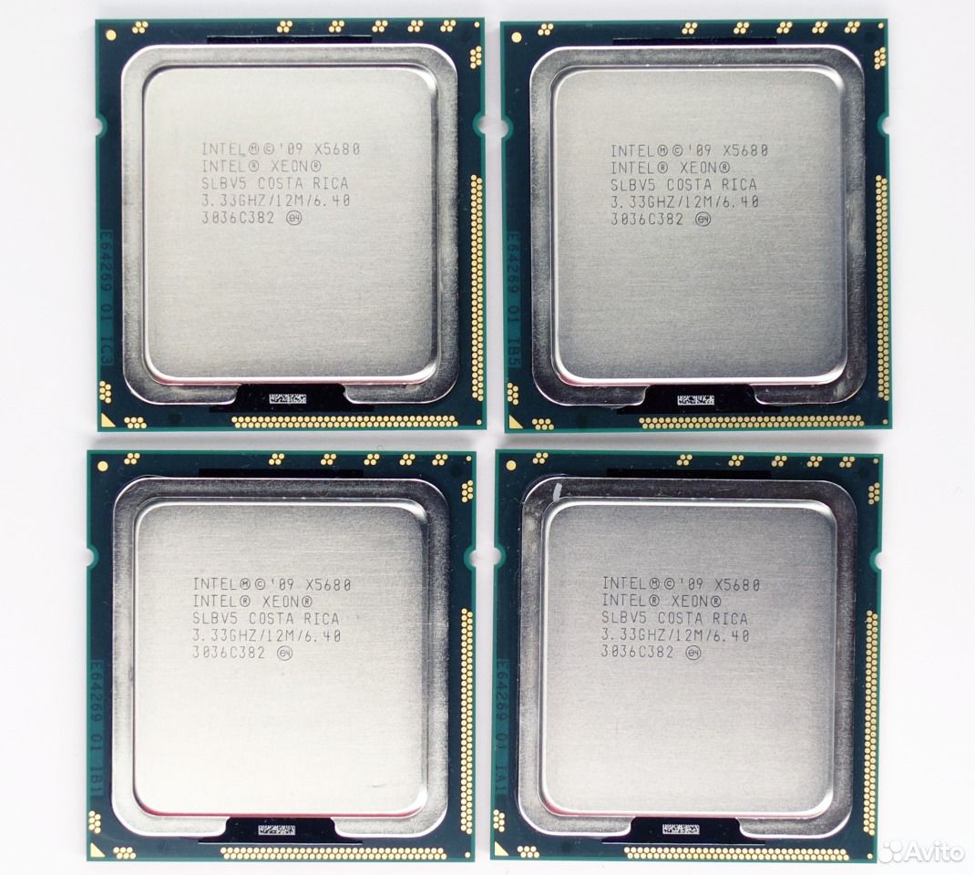 Xeon 2 ядра. Xeon x5355. Xeon x5680. Intel Xeon x3323. Xeon x5492.