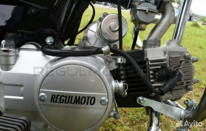Мотор 110 кубов альфа. Альфа 110 кубов мотор. Двигатель 110сс 4т atv. Мотоцикл Regulmoto Alpha 110. Мопед Regulmoto Alpha 50/110.