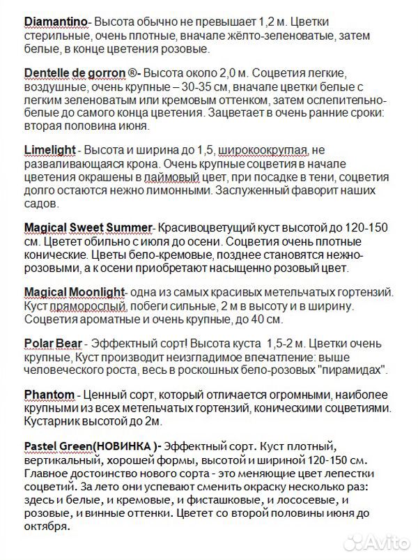 Гортензии метельчатые(20 сортов) многолетники купить на Зозу.ру - фотография № 8