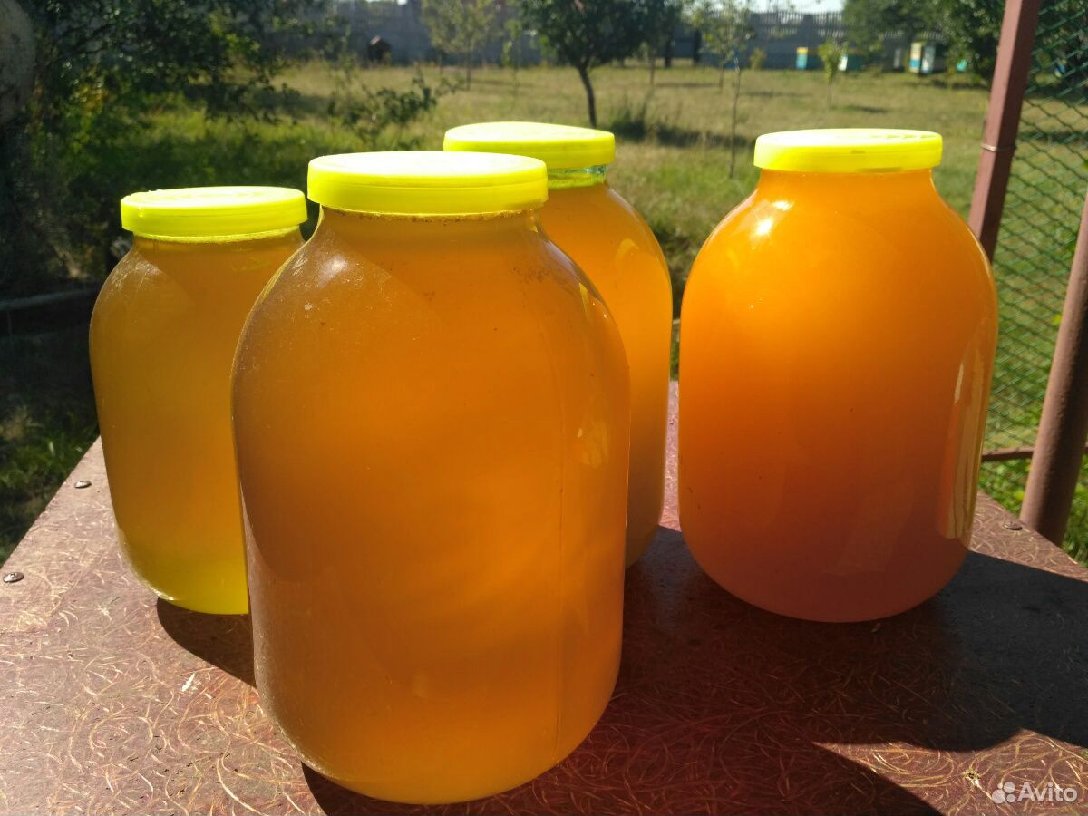 Мёд пчелиный 2019 купить на Зозу.ру - фотография № 2