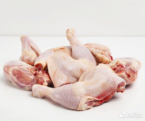 Кур:Тушка, филе, грудка, окорочок, бедро, крыло купить на Зозу.ру - фотография № 6
