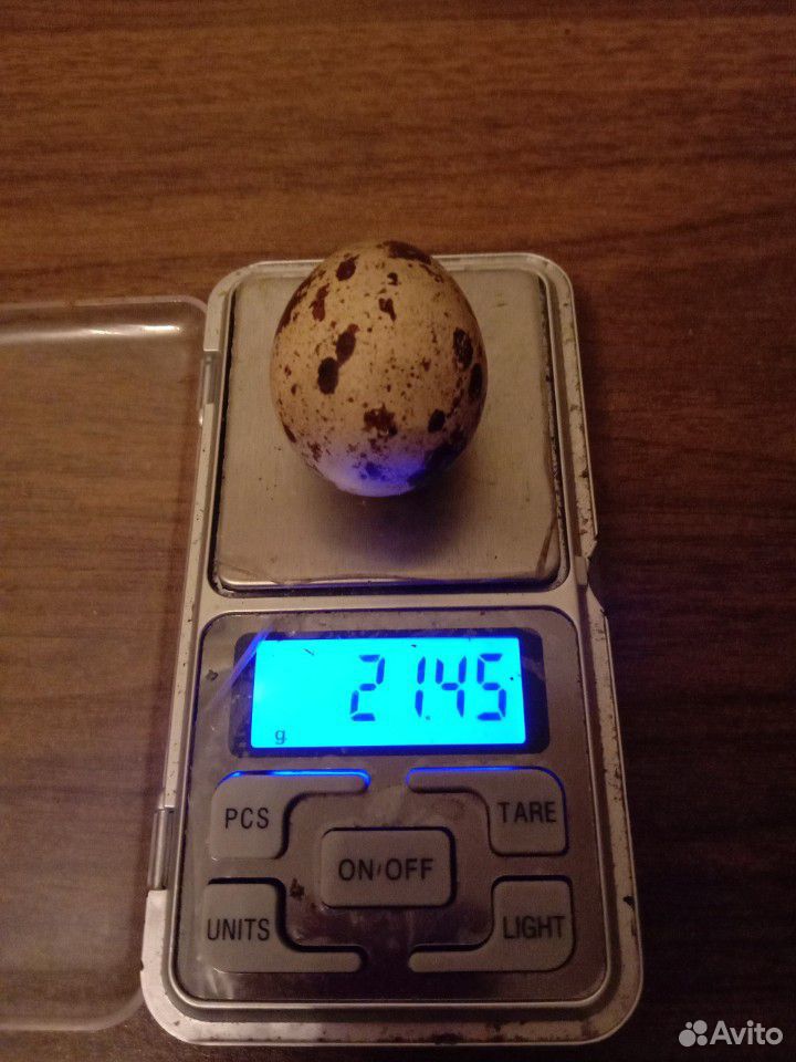 Яйцо перепелиное диетическое купить на Зозу.ру - фотография № 4