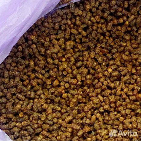 Пыльца,перга пчелиная,прополис купить на Зозу.ру - фотография № 3