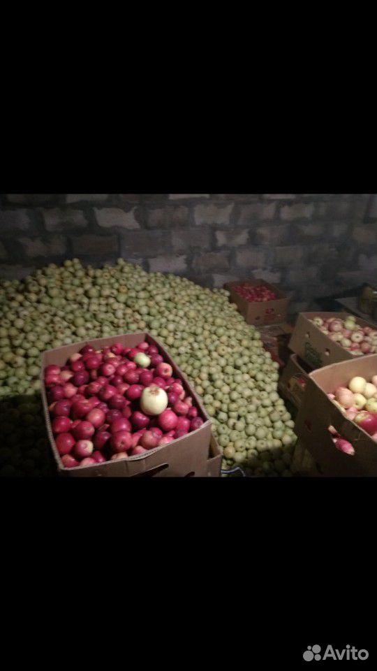 Продаётся сок яблочный натуральный купить на Зозу.ру - фотография № 2
