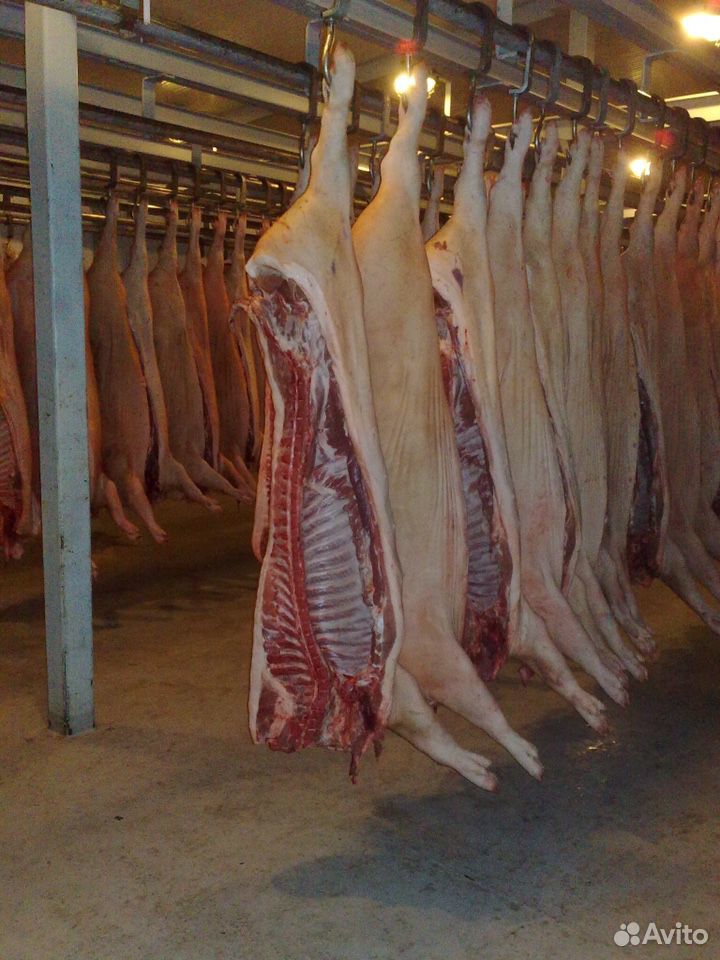 Мясокомбинат реализует мясо говядины(бык молодняк) купить на Зозу.ру - фотография № 10