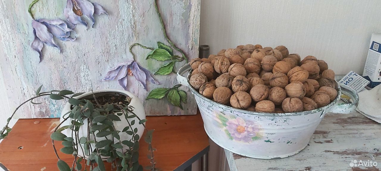 Орехи грецкие купить на Зозу.ру - фотография № 1