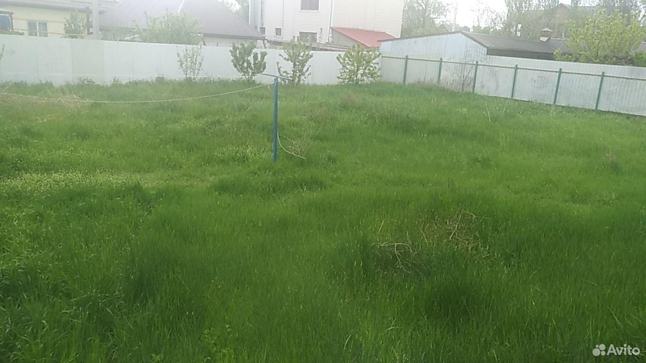 Трава, сено купить на Зозу.ру - фотография № 1