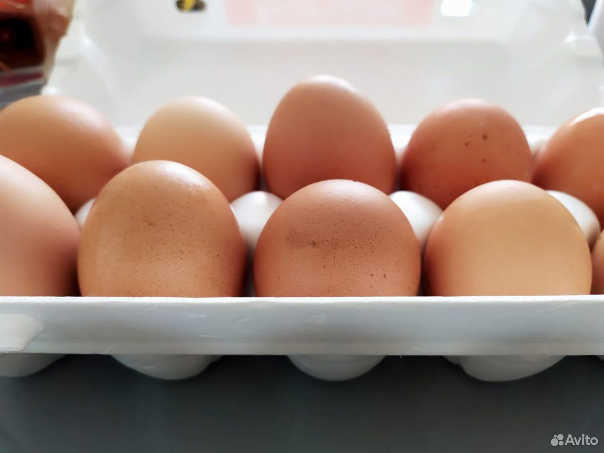 Яйцо домашнее куриное купить на Зозу.ру - фотография № 1