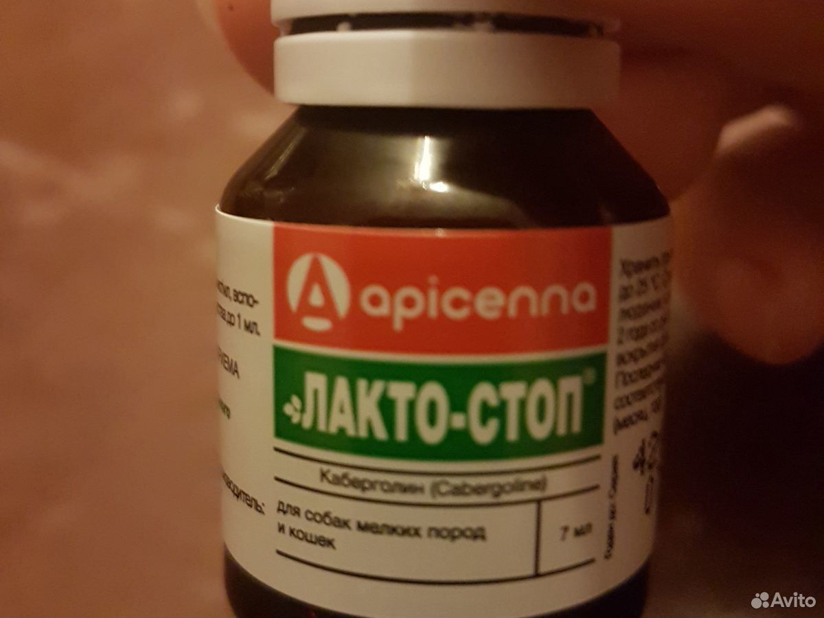 Лактостоп Для Кошек Цена