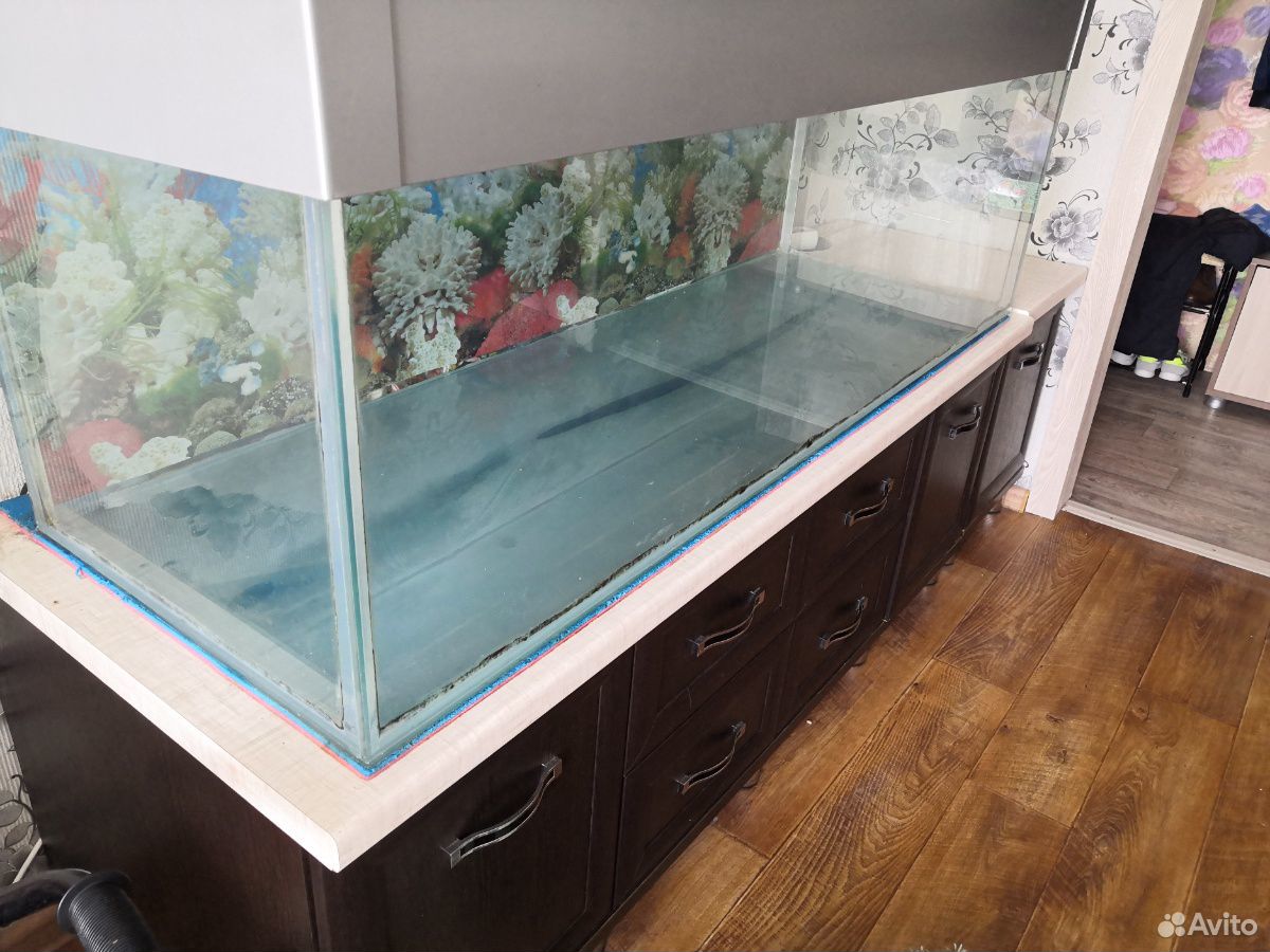 Продам аквариум на 375л купить на Зозу.ру - фотография № 3