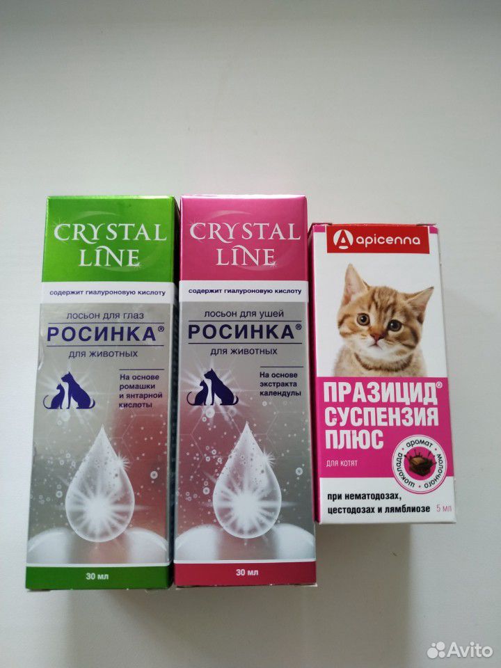 Для кошек купить на Зозу.ру - фотография № 1