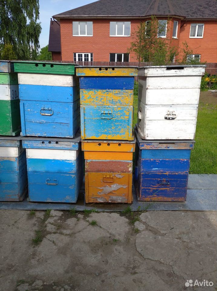 Пчелы все для купить на Зозу.ру - фотография № 2