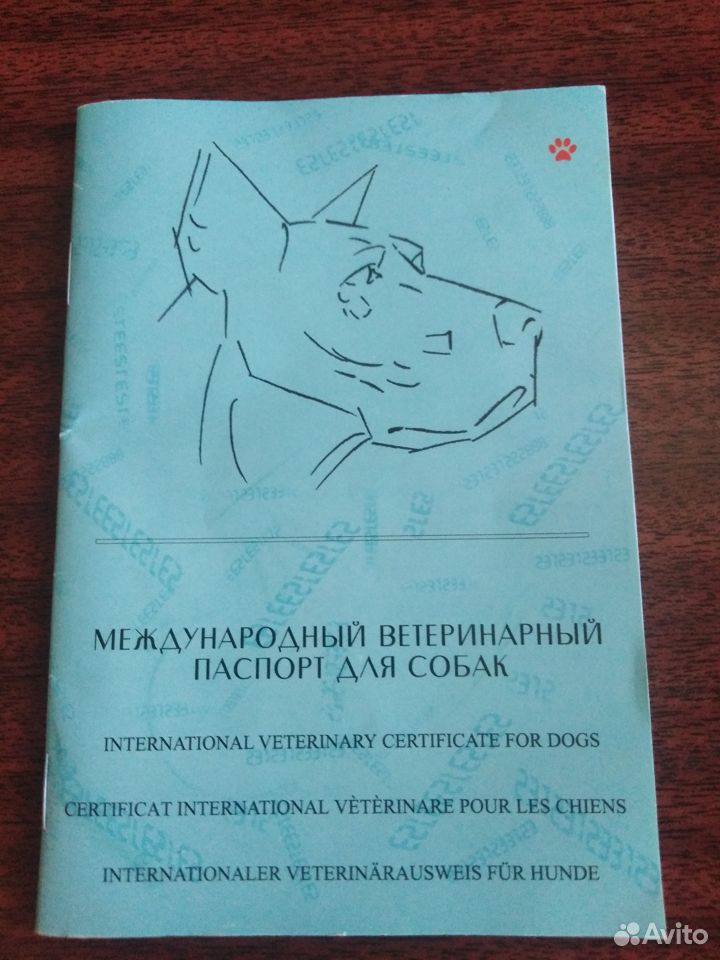 Международный ветеринарный паспорт для собак купить на Зозу.ру - фотография № 1