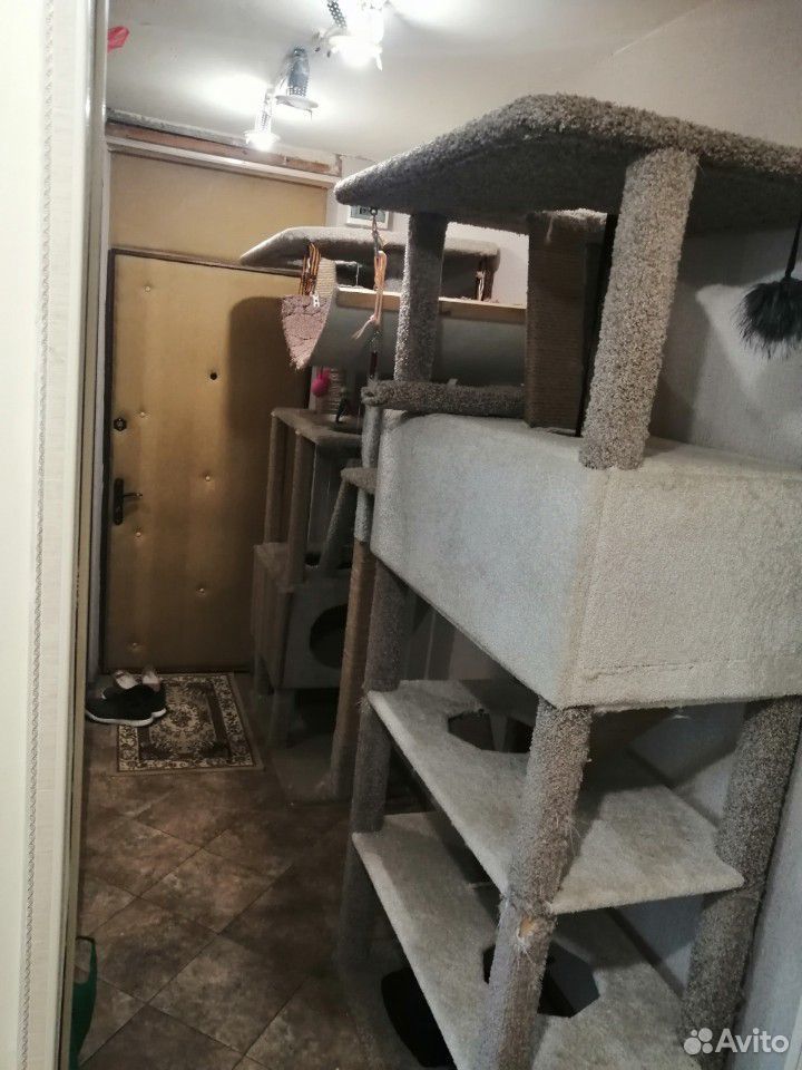 Огромный самодельный дом для больших кошек купить на Зозу.ру - фотография № 1