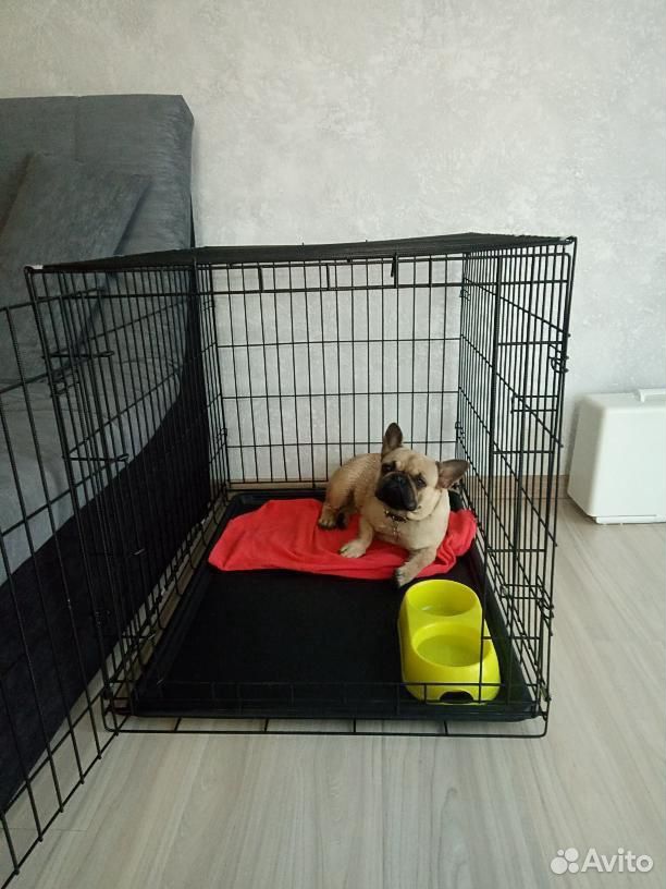 Клетки для собак купить на Зозу.ру - фотография № 1