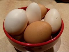 Яйца домашних кур