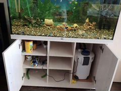 Продам шикарный аквариум в связи с отъездом