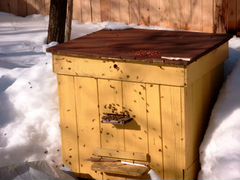 Домики для пчёл