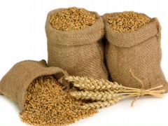 Пшеница, ячмень и др