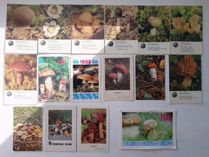 Календарики дары природы, охраняемые растения