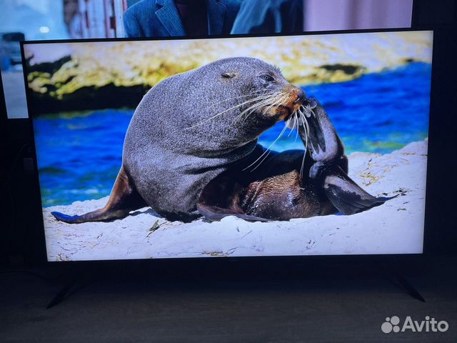 Телевизор Samsung 50” Q67T 4K Smart qled купить в Зеленограде | Бытовая  электроника | Авито