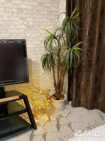 

Квартира-студия, 25 м², 1 кровать