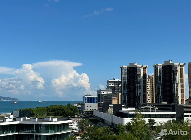 

1-к. квартира, 46 м², 2 кровати