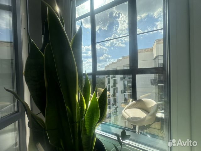 

3-к. квартира, 100 м², 4 кровати