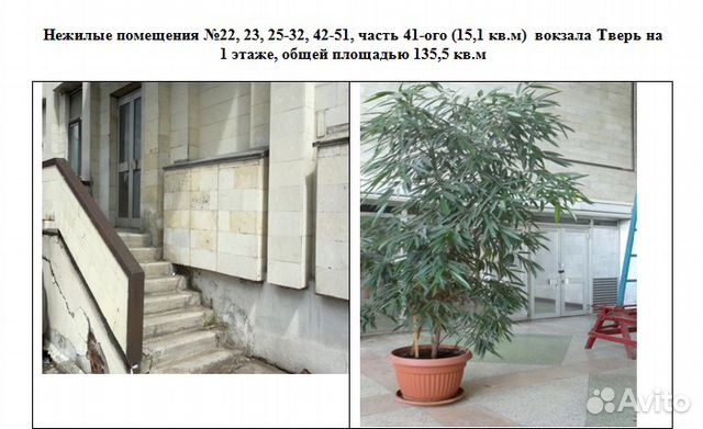 Свободного назначения 135.5 м² Свободного назначения 135.5 м²