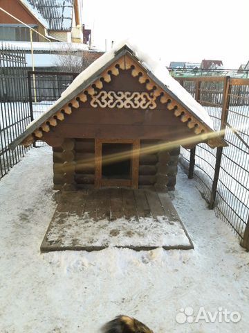 Дом для собаки из бревна купить на Зозу.ру - фотография № 1