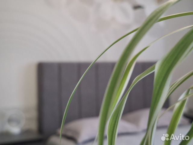 

1-к. квартира, 40 м², 3 кровати