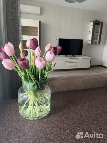 

Квартира-студия, 43 м², 2 кровати