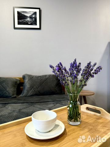 

Квартира-студия, 29,3 м², 1 кровать