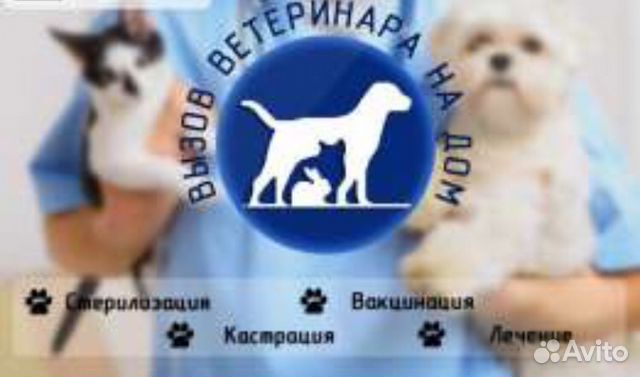 Ветеринарные услуги
