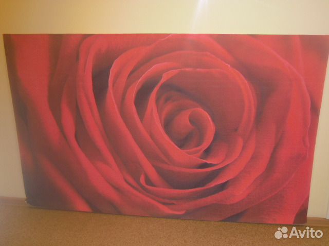 Фотопанно Красная роза, 2м х 1,25м