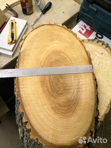 Косой спил ясеня Косой спил ясеня