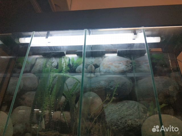 Новый секционный аквариум 83л купить на Зозу.ру - фотография № 3