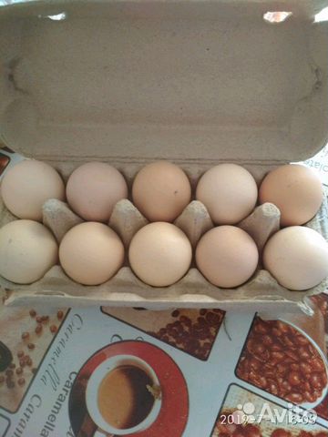 Продам Яйца