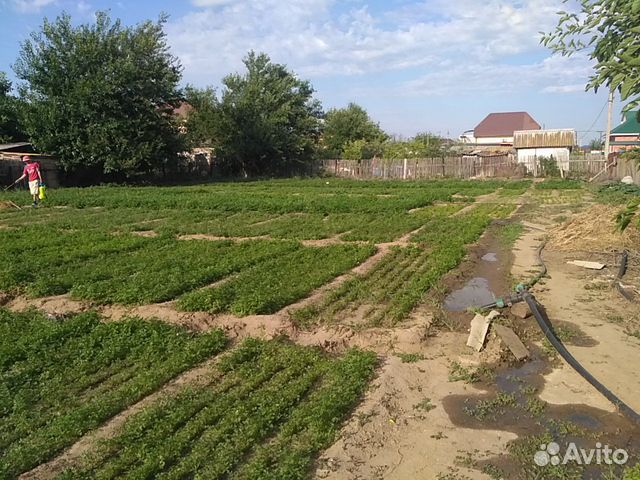 Хочу Купить Участок В Поселке Кирпичный Каспийск