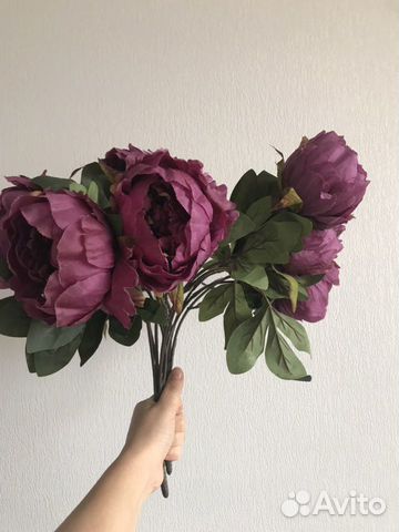 Декоративные цветы