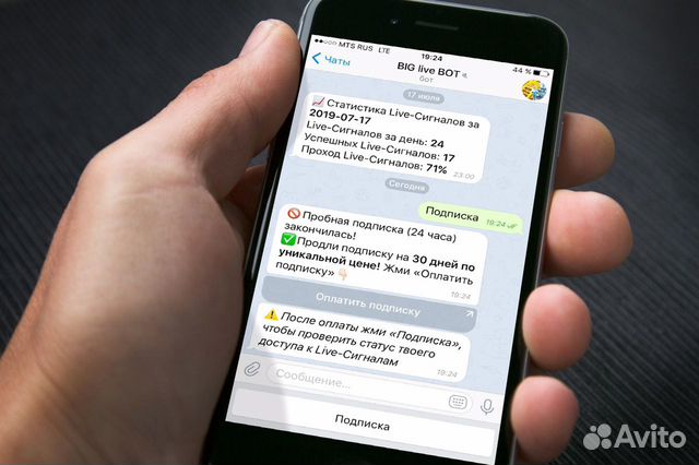 Телеграм Бот для Бизнеса, Качественная разработка Телеграм Бот для Бизнеса, Качественная разработка