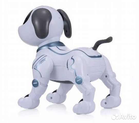 smart robot dog