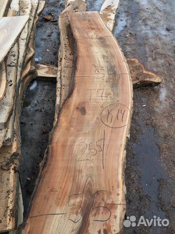 Слэбы Карагач