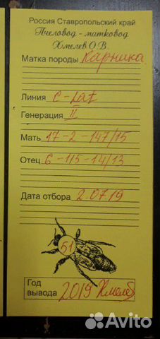 Пчеломатки F-1 Карника купить на Зозу.ру - фотография № 3