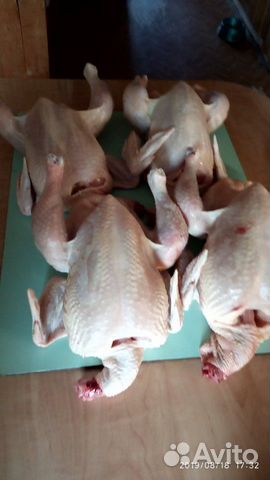 Мясо цыпленка бройлера купить на Зозу.ру - фотография № 2