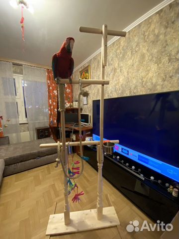 Игровой стенд, присада для попугая, (Ара, Жако) ру