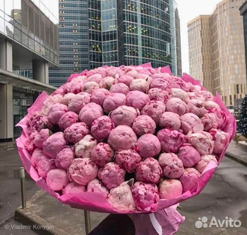 Пионы 11 15 19 25 51 Букеты Цветы Доставка Пионы 11 15 19 25 51 Букеты Цветы Доставка