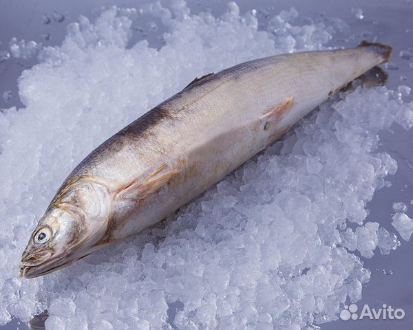 Омуль Якутский филе хол. копчения и свежемороженый