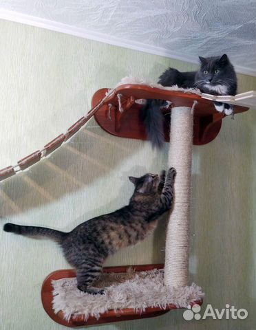 Игровой комплекс для Кошек